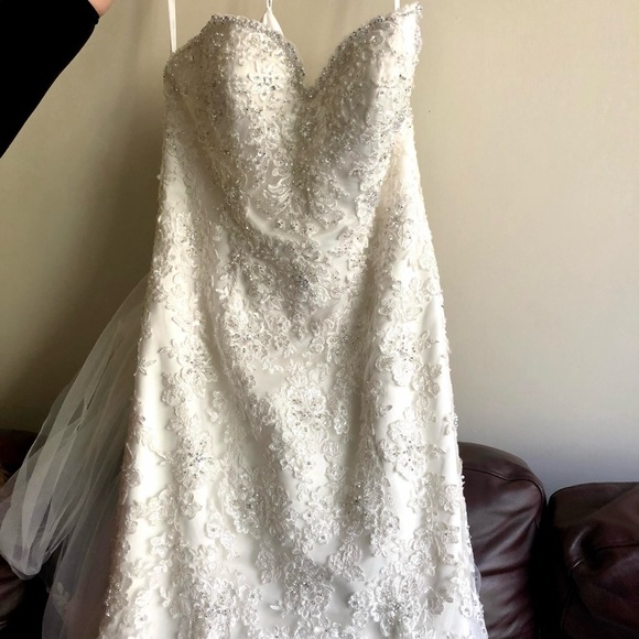 Unaltered Sample - Stella York 5986 - Picture 9 of 11